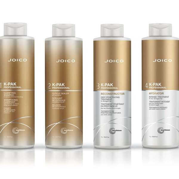 Web Use Small JPG JOICO K Pak Groupshot 2